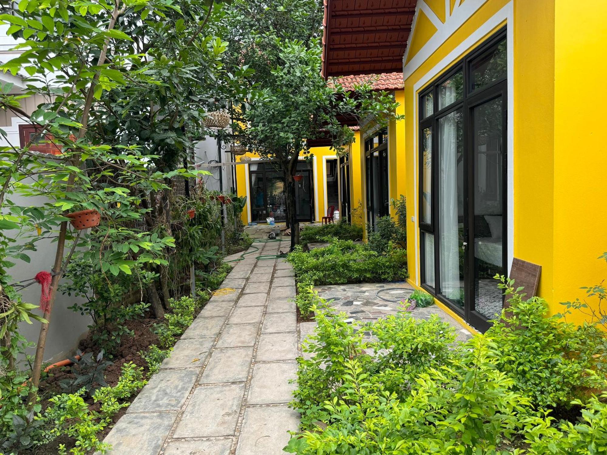 Гостевой дом Azalea Tam Coc Ниньбинь Экстерьер фото